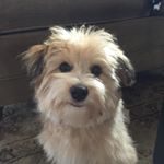 Profile Picture of Catherine Quirk (@cathyaquirk) on Instagram