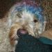 Profile Picture of Nigel Plummer (@plummingservice) on Pinterest