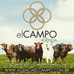 Profile Picture of Gabriel Olivera / Ag. El Campo (@agencia_elcampo) on Instagram