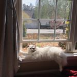 Profile Picture of Elizabeth Guidry (@emmie2013) on Instagram