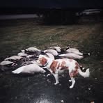 Profile Picture of Brian Mischke (@brian.mischke.53) on Facebook