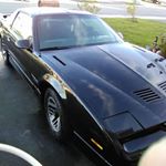 Profile Picture of Steve Rideout (@kgvbhhftik) on Instagram