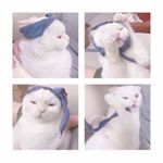 Profile Picture of Mina (@minachow23) on Instagram