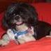 Profile Picture of Richard J. Vollmar (@richard.vollmar) on Facebook