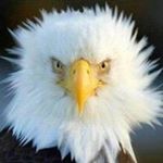 Profile Picture of steven hyatt (@steven.hyatt) on Instagram