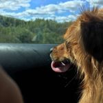 Profile Picture of Jacob Comeau (@yeetus_deletus77) on Instagram