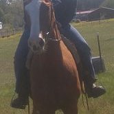 Profile Picture of Amber Riffe (@bc4u03) on Twitter