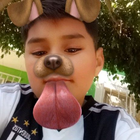 Profile Picture of Daniel Piceno (@danielpiceno1) on Tiktok