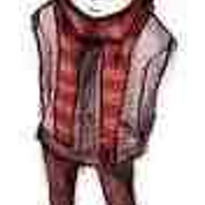 Profile Picture of Gabriel Higgins (@gabriel_higgins) on Twitter