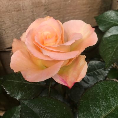 Profile Picture of Andy Leeman (@Andrew58321339) on Twitter