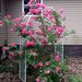 Profile Picture of Kim Ramert (@grannykim_7) on Pinterest