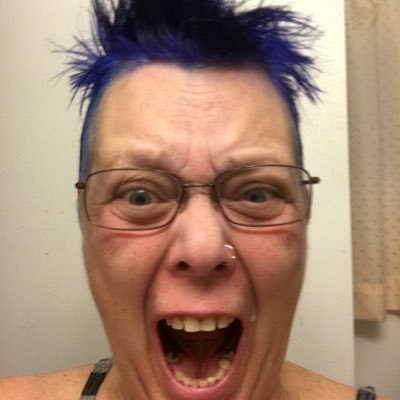 Profile Picture of Robin Bryden (@rockinerobin) on Twitter