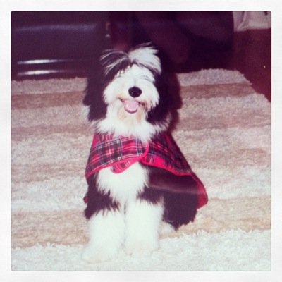 Profile Picture of Sharron Stephen (@SharronStephen) on Twitter