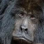 Profile Picture of James Stansell (@james.stansell.5) on Facebook