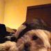 Profile Picture of Libby Donahue (@libby.donahue.5) on Facebook