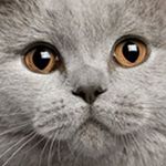 Profile Picture of Daniel Kimakovskiy (@danielkimakovskiy) on Instagram