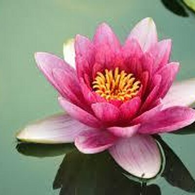 Profile Picture of Patrick Nordeck (@BackInBalanceMT) on Twitter