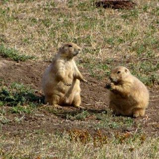 Cody Turgeon - Facebook Profile Picture of Cody Turgeon (@cody.turgeon.3979) on Facebook