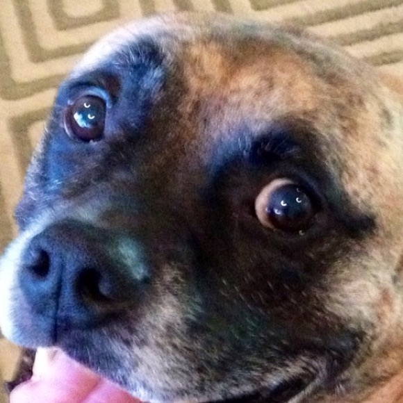 Profile Picture of Lisa Pimental (@lpimental) on Poshmark