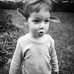 Profile Picture of Ben, Casey and Willem (@thefreemans) on Instagram