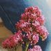 Profile Picture of Lucy Dunne (@lucyskydunne) on Pinterest