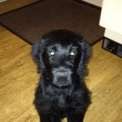 Profile Picture of Ben Rink (@rinkos_ben) on Twitter