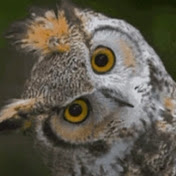 Profile Picture of Erik Anderson (@ErikAnderson-vt3vb) on Youtube