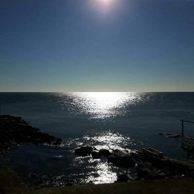Profile Picture of Alex Foti (@foti30) on Twitter