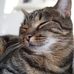 Profile Picture of Clementine Karstendiek (@Clementine-Karstendiek) on Facebook
