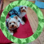 Profile Picture of Herbert Branch (@herbert.branch.35) on Facebook