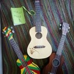 Profile Picture of Stefan Meyer (@master_and_desaster) on Instagram