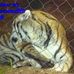Profile Picture of Michael Sills (@michael.sills.12) on Facebook