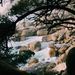 Profile Picture of Grace Irvine (@grace_irvine123) on Pinterest