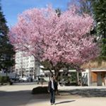 Profile Picture of Jérémy Leroy (@jeremyleroy69120) on Instagram