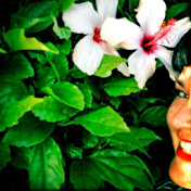 Profile Picture of Colleen Quinn (@colleenquinn9518) on Youtube