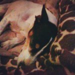 Profile Picture of Alyssa Romines (@alyssa_ledbetter) on Instagram