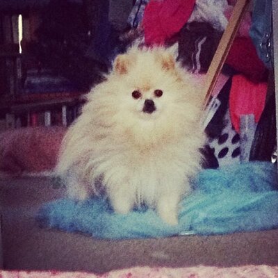 Profile Picture of Stacy Ernie (@StacyErnie536) on Twitter