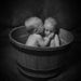 Profile Picture of Gina Hoffelder Wagner (@gina19762000) on Pinterest