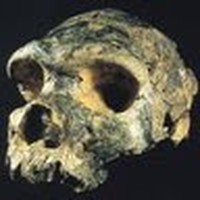 Profile Picture of Scott Maddux (@scott-maddux-10) on Quora