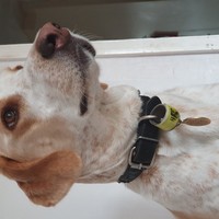 Profile Picture of Simon Woods (@simon-woods-29) on Quora