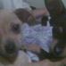 Profile Picture of Brenda Hicks (@brenda.hicks.393) on Facebook