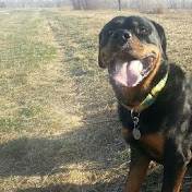 Profile Picture of Jimmy Kao (@jimb01979) on Youtube