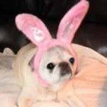 Profile Picture of Lori Grasso (@sunlvr1964) on Instagram