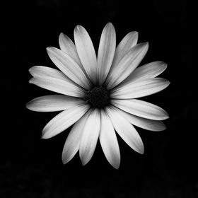 Profile Picture of Jasmin Robles (@jasminrobles357) on Pinterest