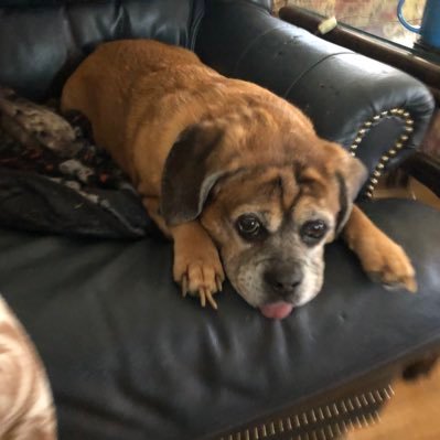 Profile Picture of Jim Aprile (@sechpd) on Twitter