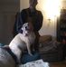 Profile Picture of Bob Tripp (@bob.tripp.733) on Facebook