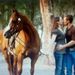 Profile Picture of Vandy Broadbent (@floydster) on Pinterest