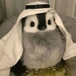 Profile Picture of Piotr Borowiak (@Piotr-Borowiak) on Facebook