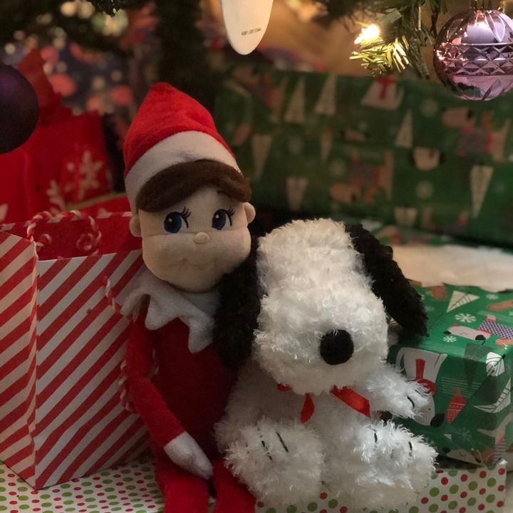 Christmas Joy - Tiktok Profile Picture of Christmas Joy (@christmas_joy_365) on Tiktok
