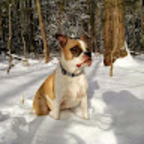 Profile Picture of Adam Kuhn (@kuhner32) on Poshmark